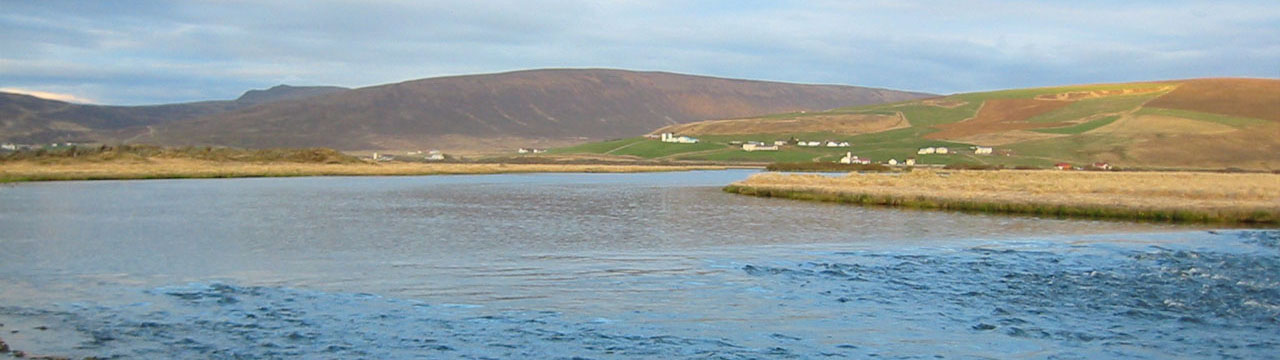 Laxá í Aðaldal - Hraun