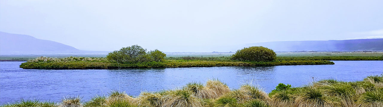 Laxá í Aðaldal - Múlatorfa