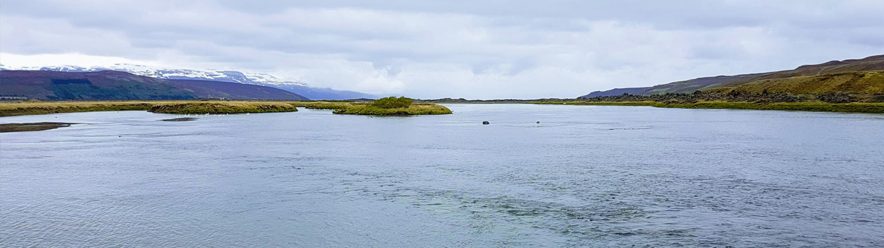Laxá í Aðaldal - Staðartorfa
