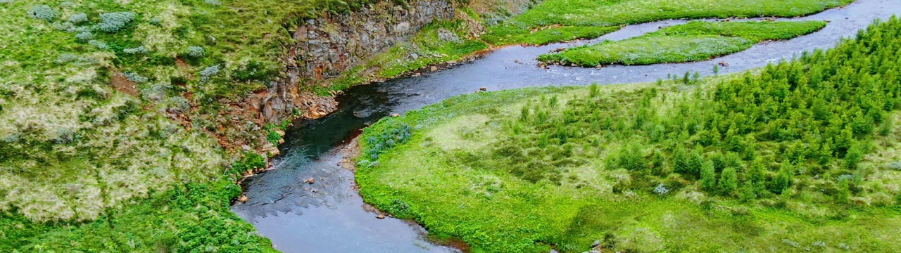 Reykjadalsá í Reykjadal